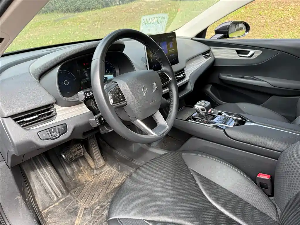 Hongqi E-QM5 2023 620km PLUS фото 7