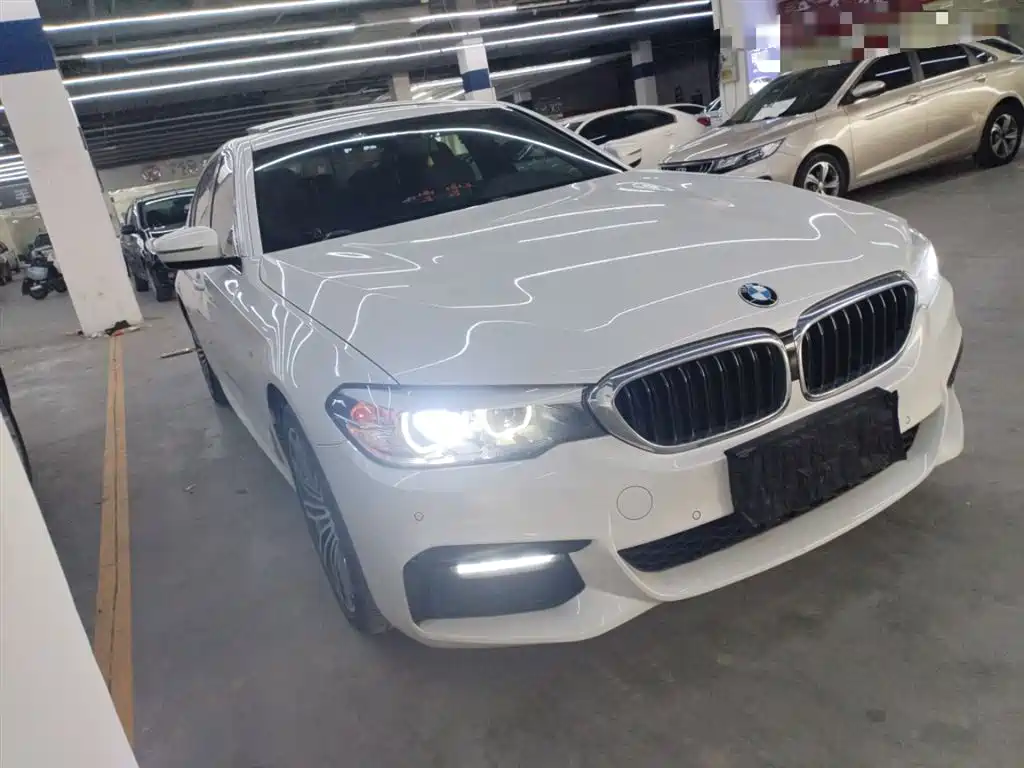 BMW 5 Series 2019 530Li Leading M Sport Package фото 4