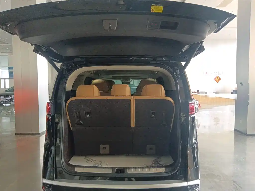 Denza D9 2024 DM-i 980 AWD Prestige фото 15