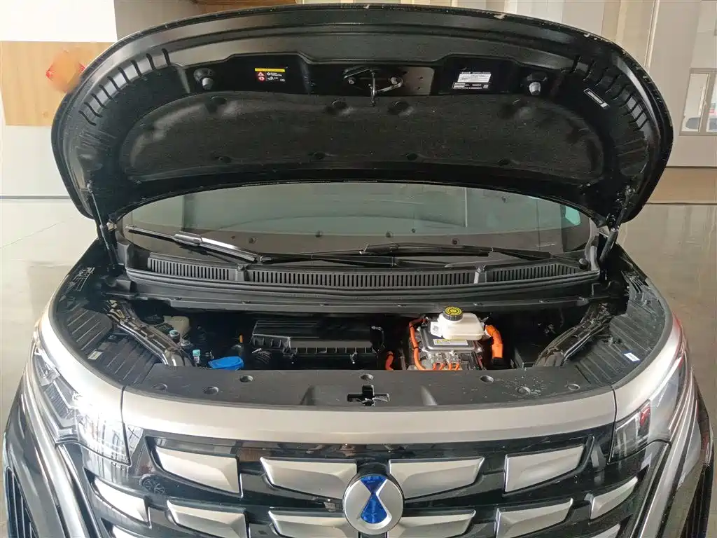 Denza D9 2024 DM-i 980 AWD Prestige фото 16