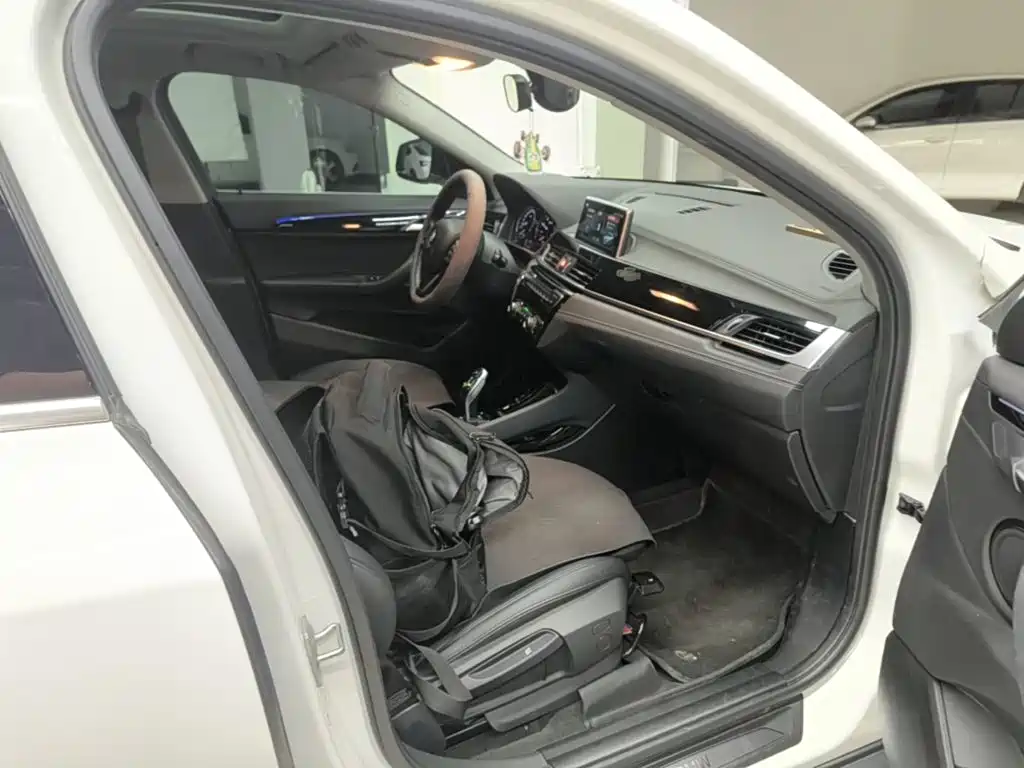 BMW X2 (Import) 2019 2019 sDrive20i M Off-Road Package China VI