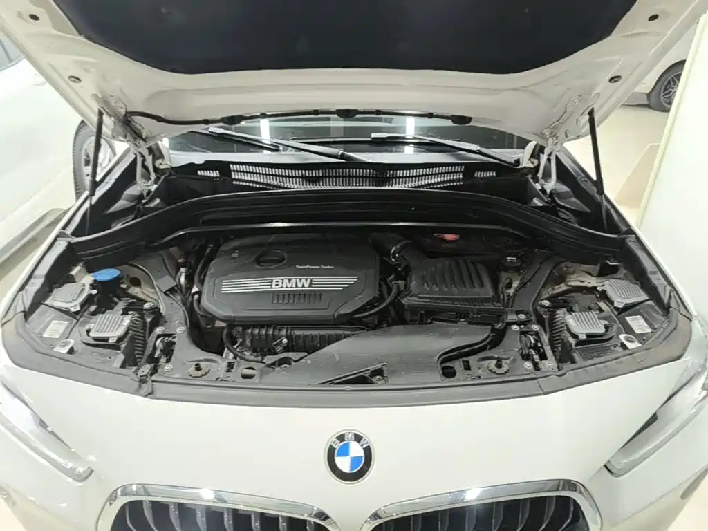 BMW X2 (Import) 2019 2019 sDrive20i M Off-Road Package China VI