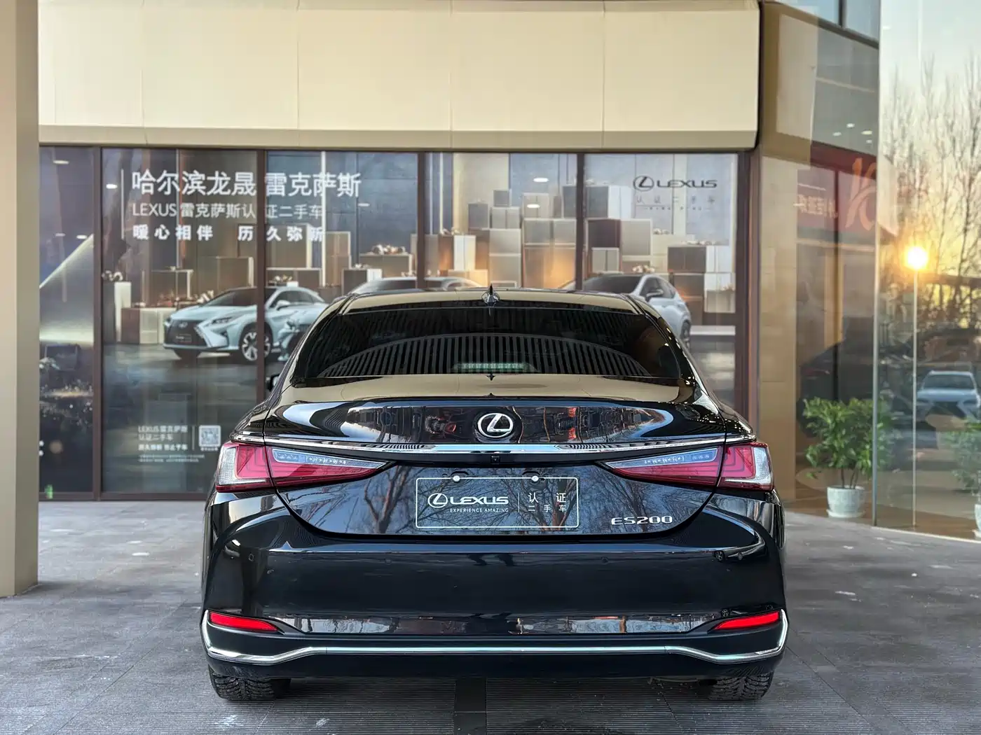 Lexus ES 2022 200 Excellence Edition фото 3