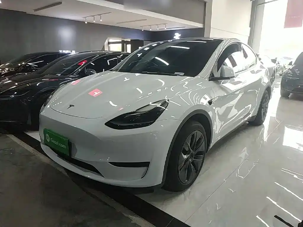 Tesla Model Y 2024 Rear-Wheel Drive Version