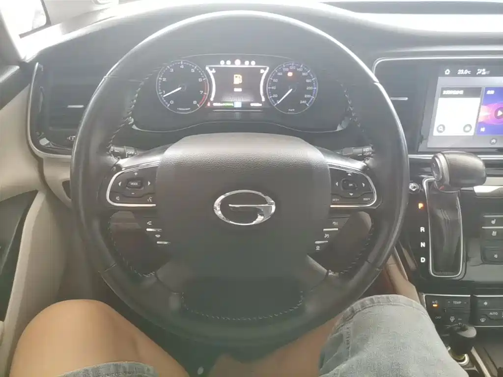 GAC Trumpchi Trumpchi M8 2018 320T Flagship Edition фото 11