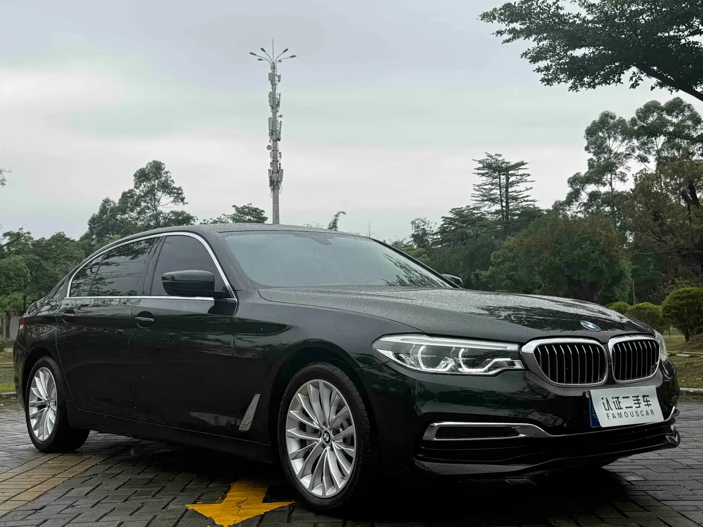 BMW 5 Series 2020 530Li Premium Luxury Package фото 3