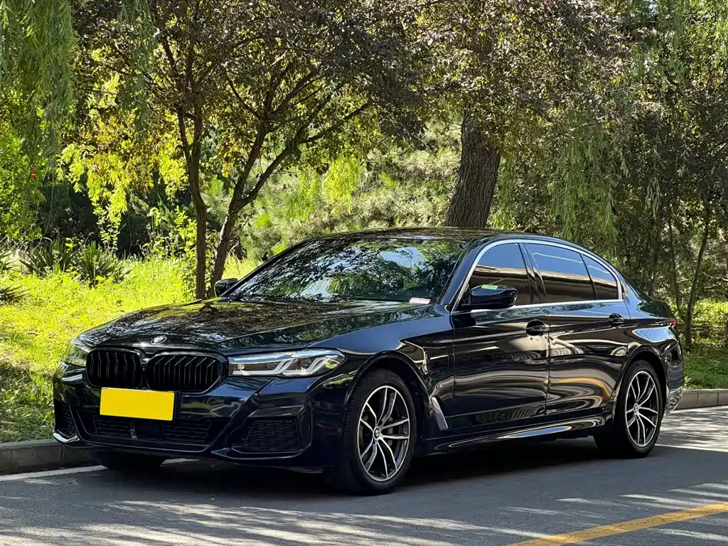BMW 5 SERIES NEW ENERGY