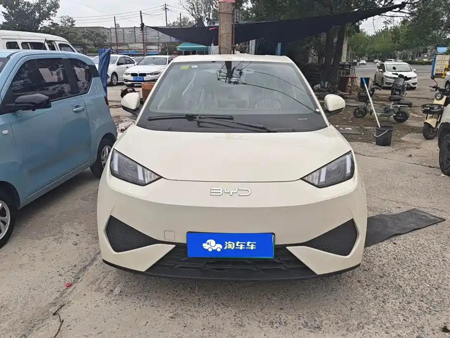 BYD Seagull 2026 2025 Smart Drive Edition 305km Vitality Version