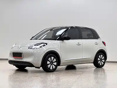 Wuling Bingo