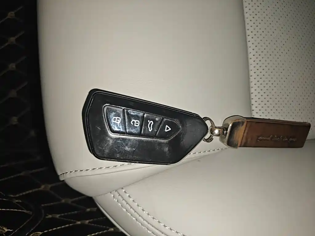 Фото 9 - Geely Binrui