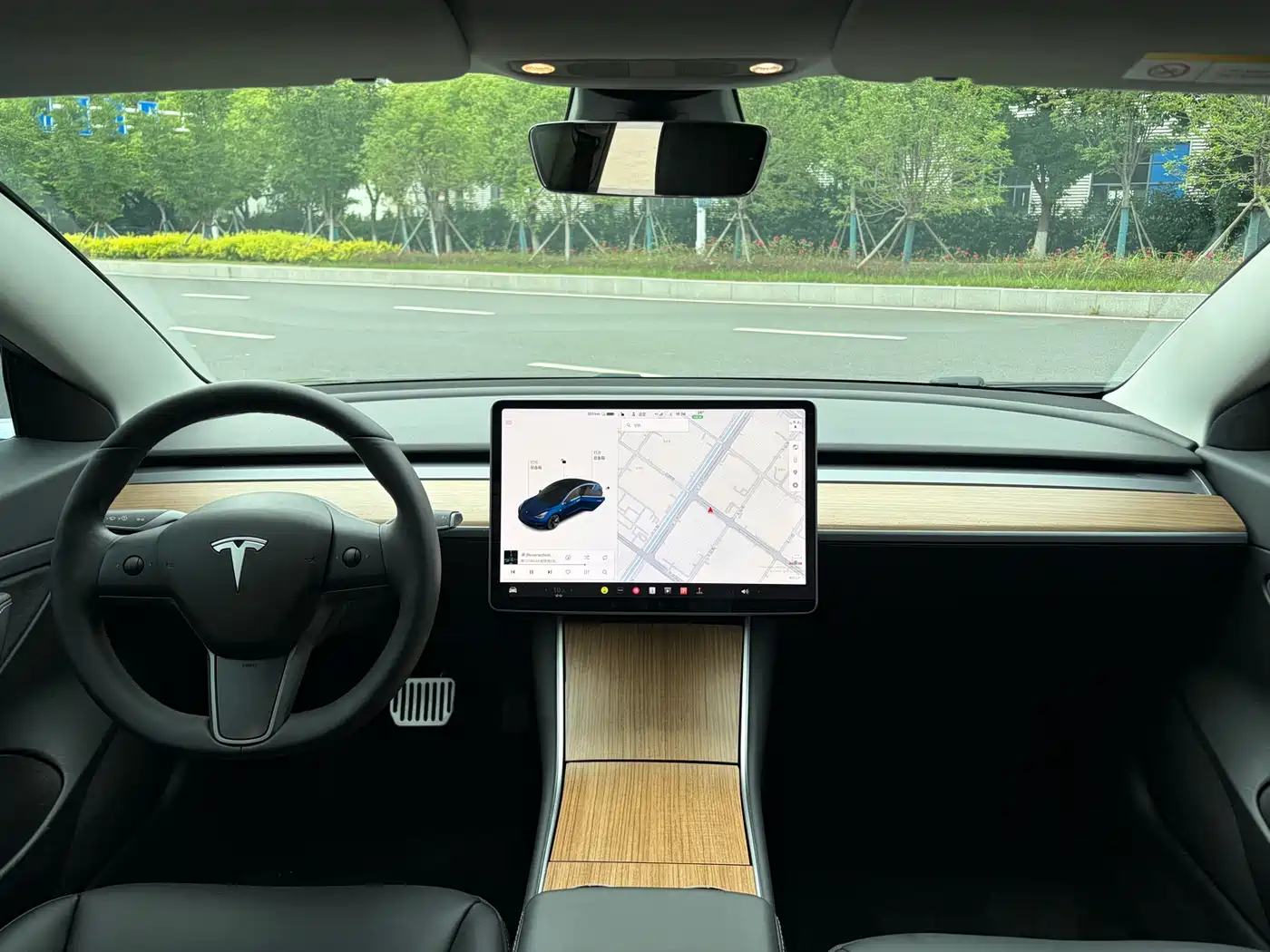 Tesla Model 3 2020 Standard Range Rear-Wheel Drive Upgrade фото 6