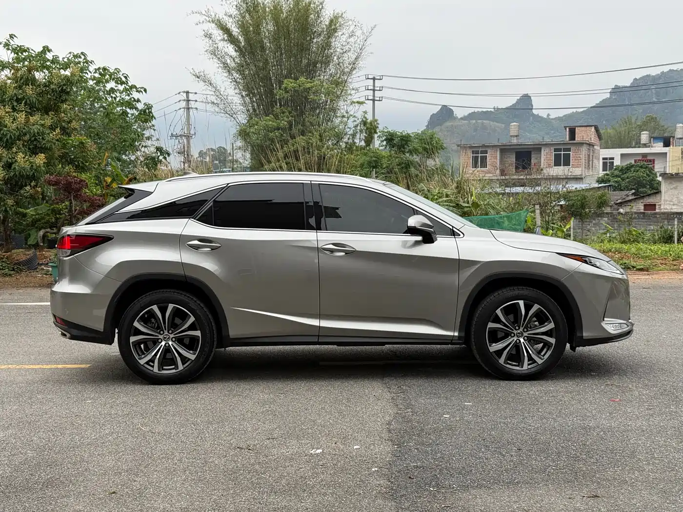 Lexus RX 2021 300 AWD Special Edition фото 17