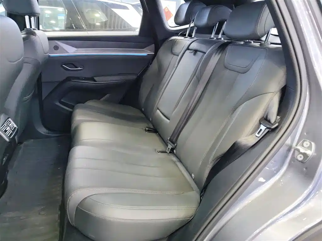 BYD Song Pro New Energy 2025 2nd Generation Smart Drive Edition DM-i 115KM Surpassing Type фото 13