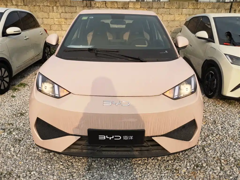 BYD Seagull 2025 Smart Drive Edition 305km Vitality Version фото 3