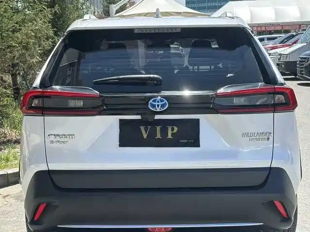 Toyota Wildlander 2020 Hybrid 2.5L E-CVT AWD Luxury Edition фото 8