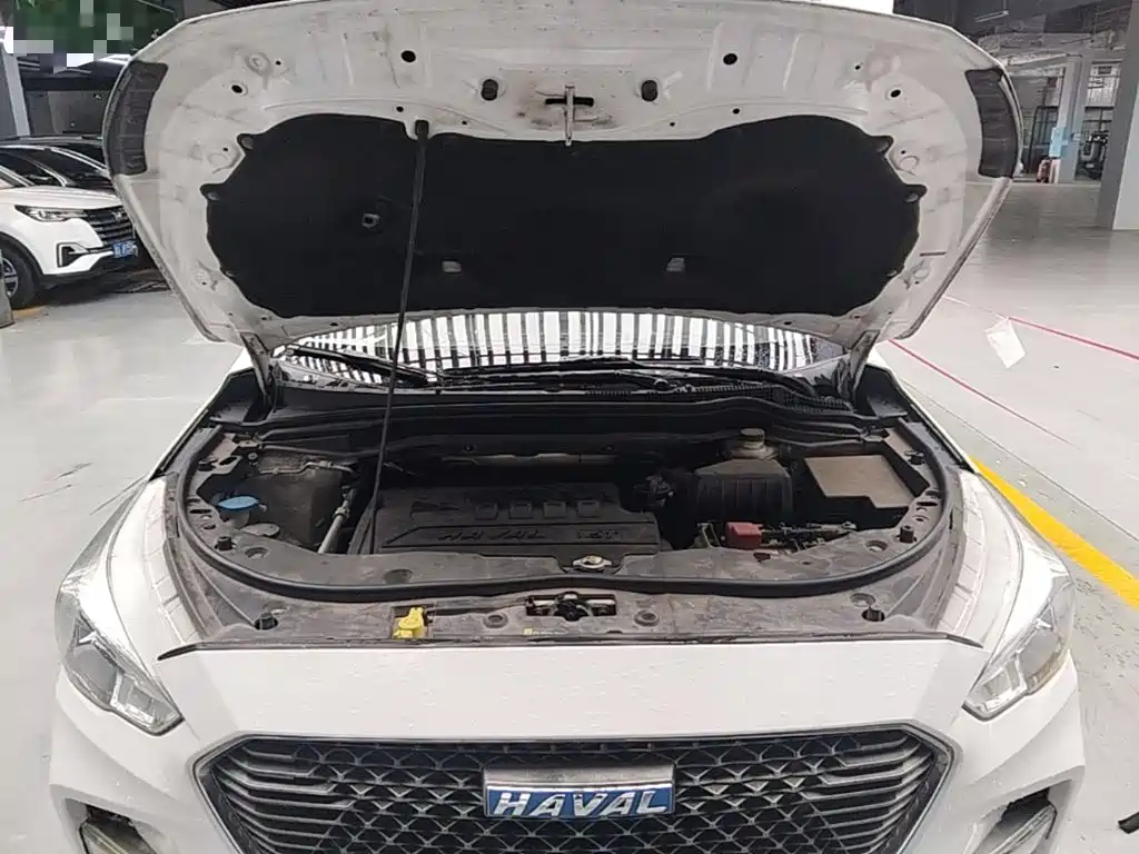 Фото 20 - Haval M6