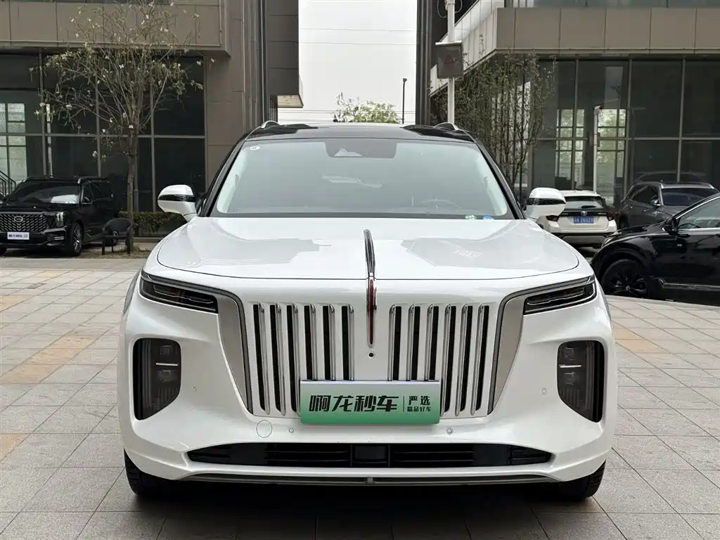 Hongqi HONGQI E HS9