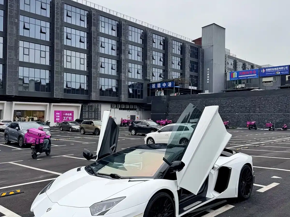 Lamborghini Aventador 2011 LP 700-4 фото 18