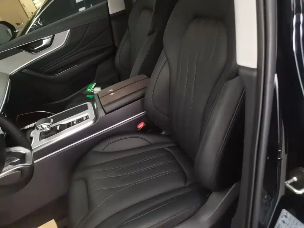 Hongqi HS5 2025 2025 2.0T 2WD Qixiang Pro