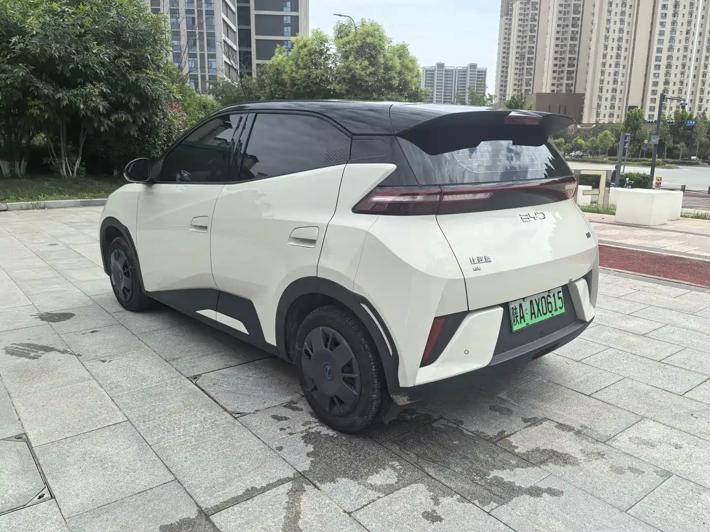 BYD Seagull 2025 Smart Drive Edition 305km Vitality Version фото 12