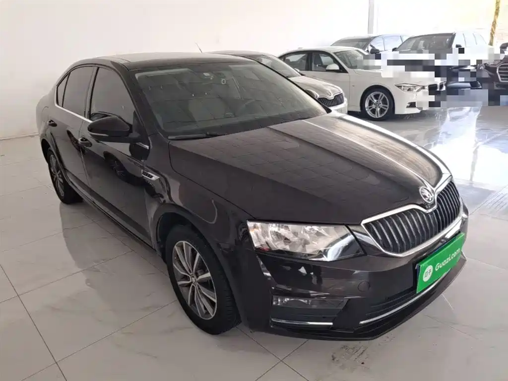 Škoda Octavia 2017 1.6L Automatic Pioneer Edition фото 4