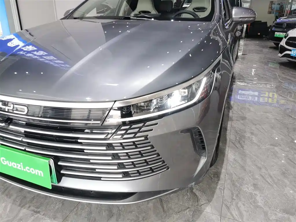 BYD Destroyer 05 2023 Champion Edition DM-i 55KM Luxury фото 24