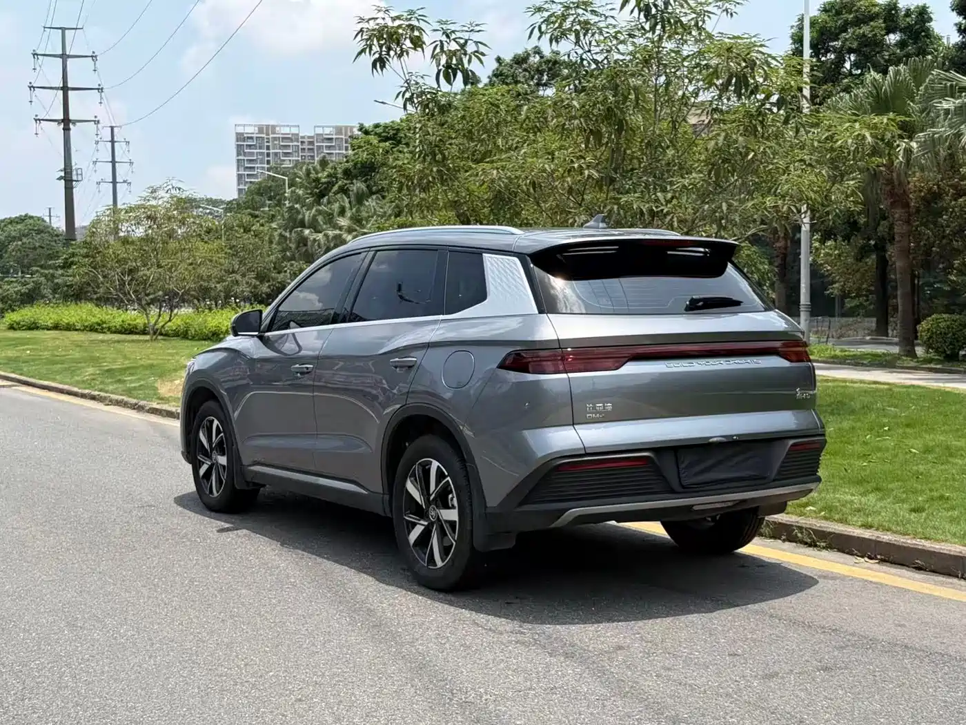 BYD Song Pro New Energy 2024 Glory Edition DM-i 71KM Pilot фото 5