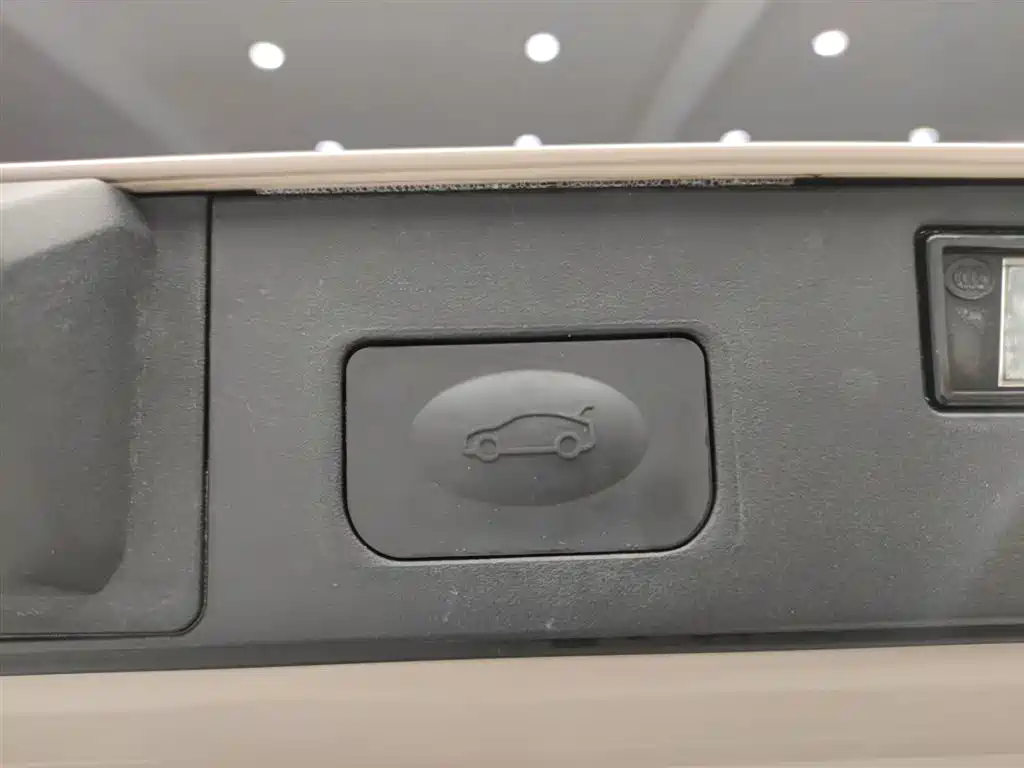 ARCFOX EXTREME FOX POLAR FOX ALPHA S5