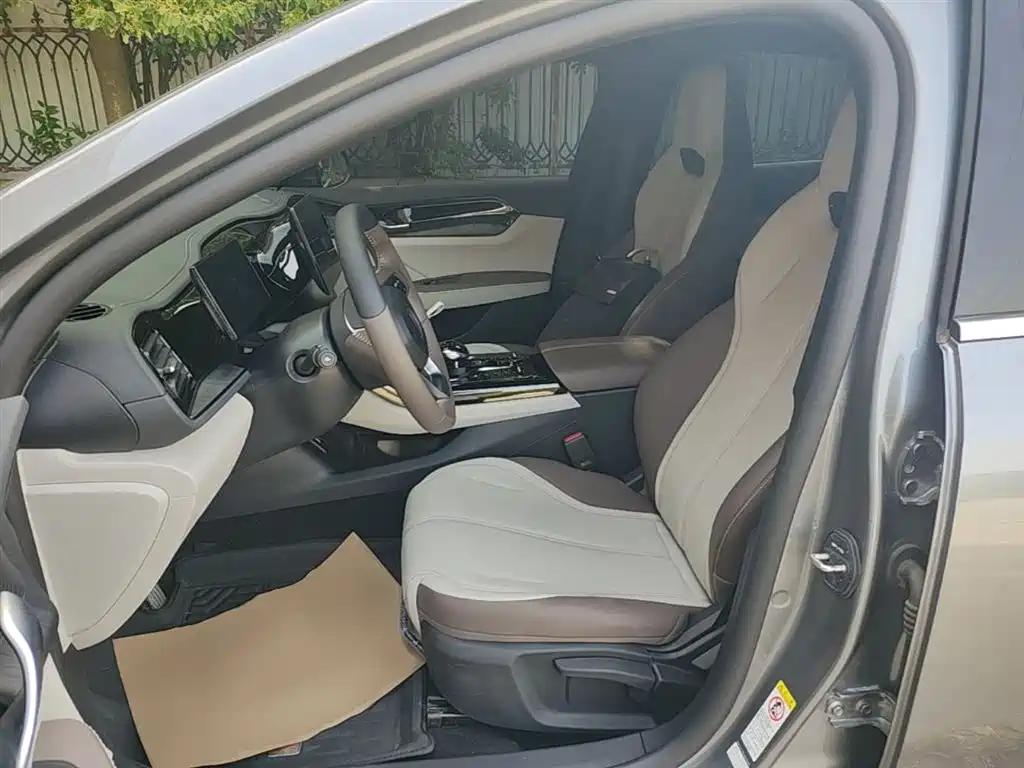 BYD Qin PLUS 2024 Glory Edition DM-i 55KM Leading фото 15