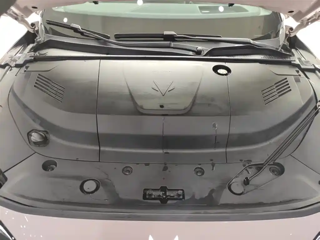 ARCFOX EXTREME FOX POLAR FOX ALPHA S5