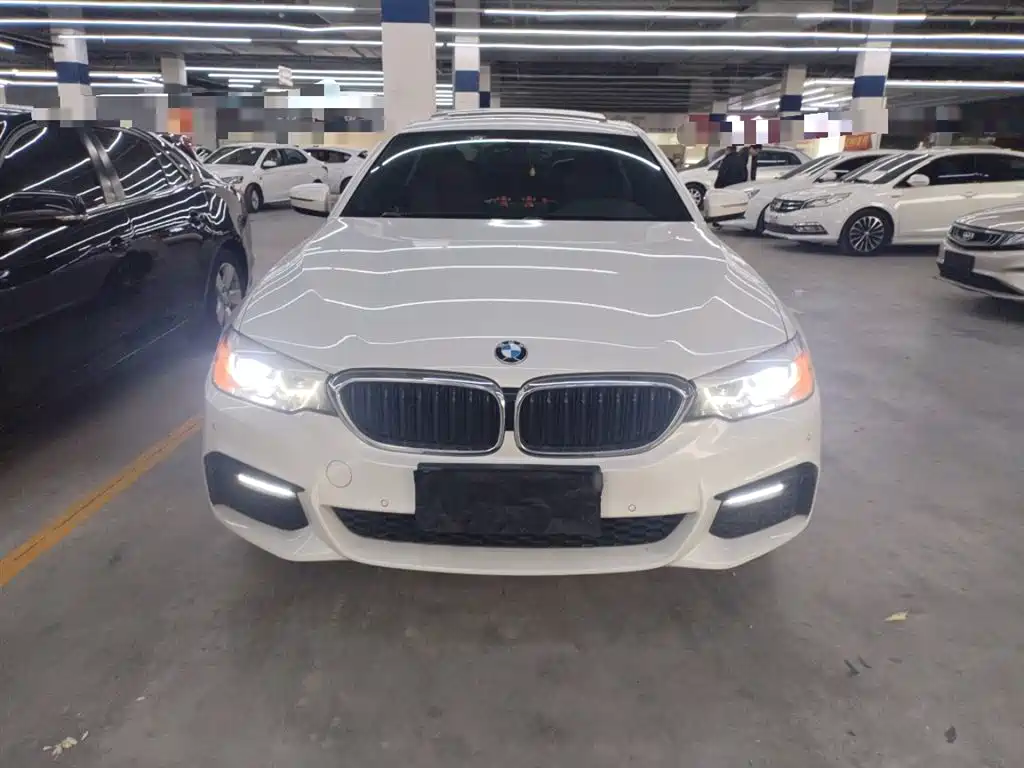 BMW 5 Series 2019 530Li Leading M Sport Package фото 3