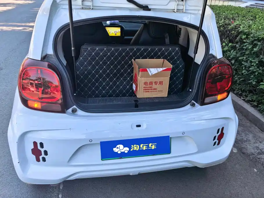 Roewe Clever 2023 2022 311km Vitality Bobo Edition