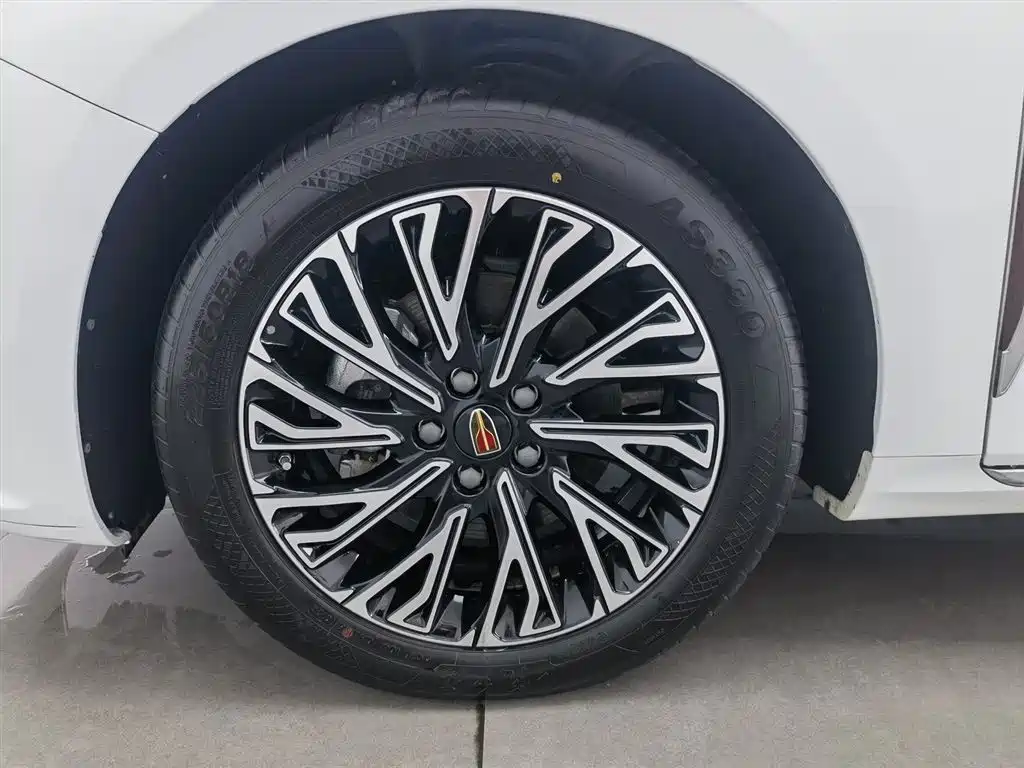 Hongqi H5 2024 2.0T Automatic Smart Connect Flag Smooth Edition фото 17