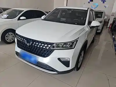 Wuling Alvez
