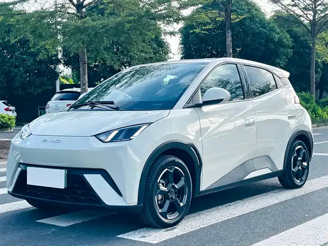 BYD Seagull Полёт