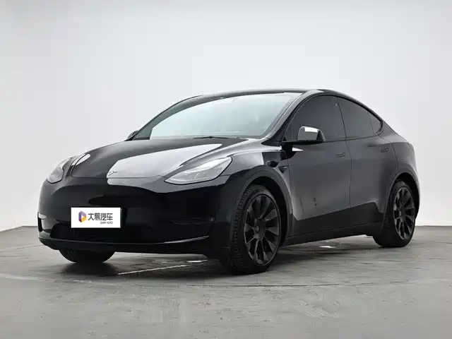 Tesla Model Y 2021
