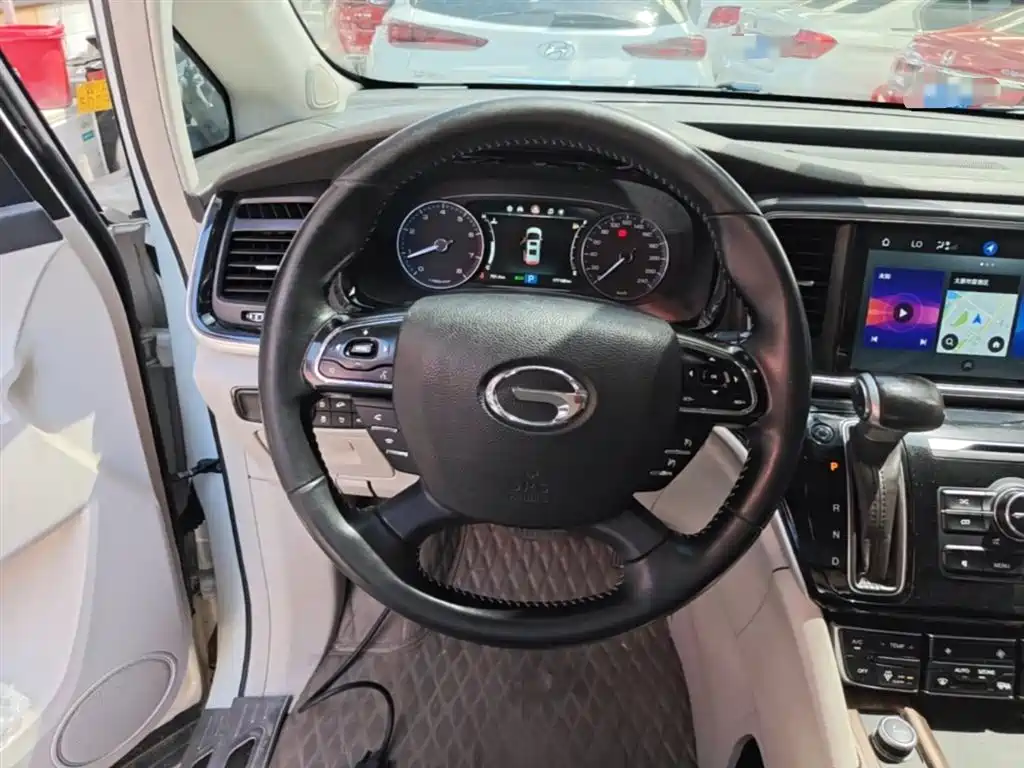 GAC Trumpchi Trumpchi M8 2020 Pilot 390T Prestige Edition фото 11