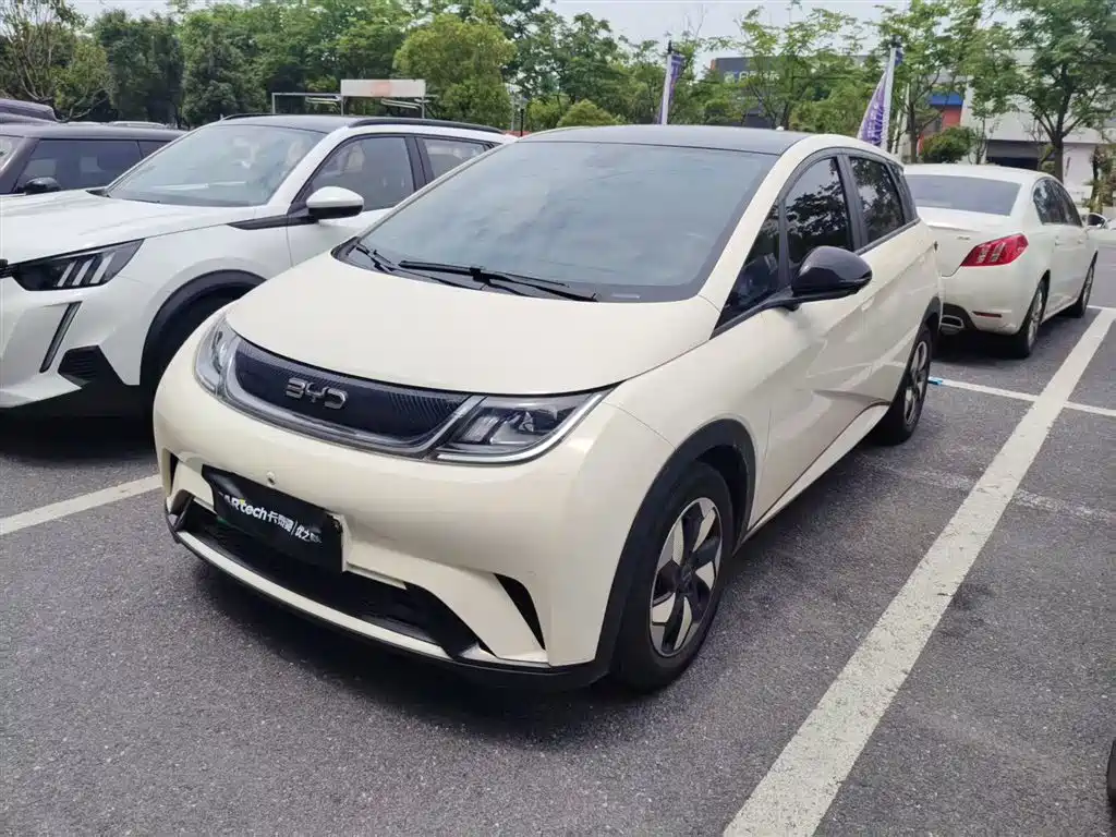 BYD Dolphin 2024 Glory Edition 420km Fashion Edition