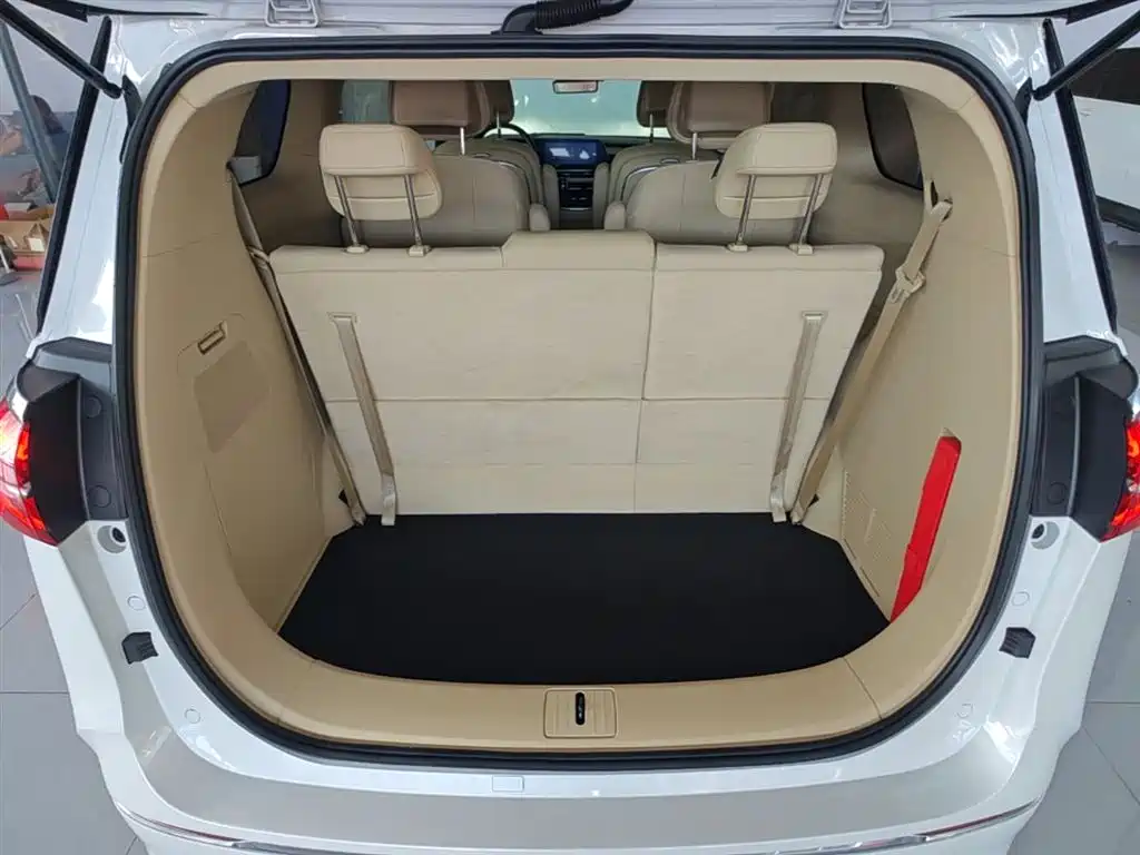 Buick GL8 2023 ES Landmaster Exclusive фото 18