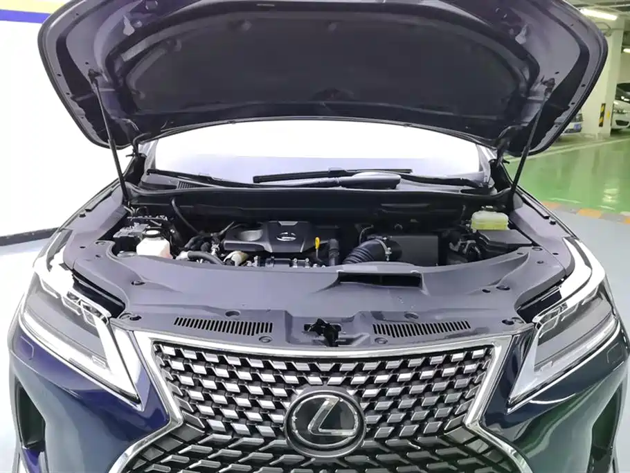 Lexus RX 2020 Facelift 300 AWD Elegance Edition фото 10