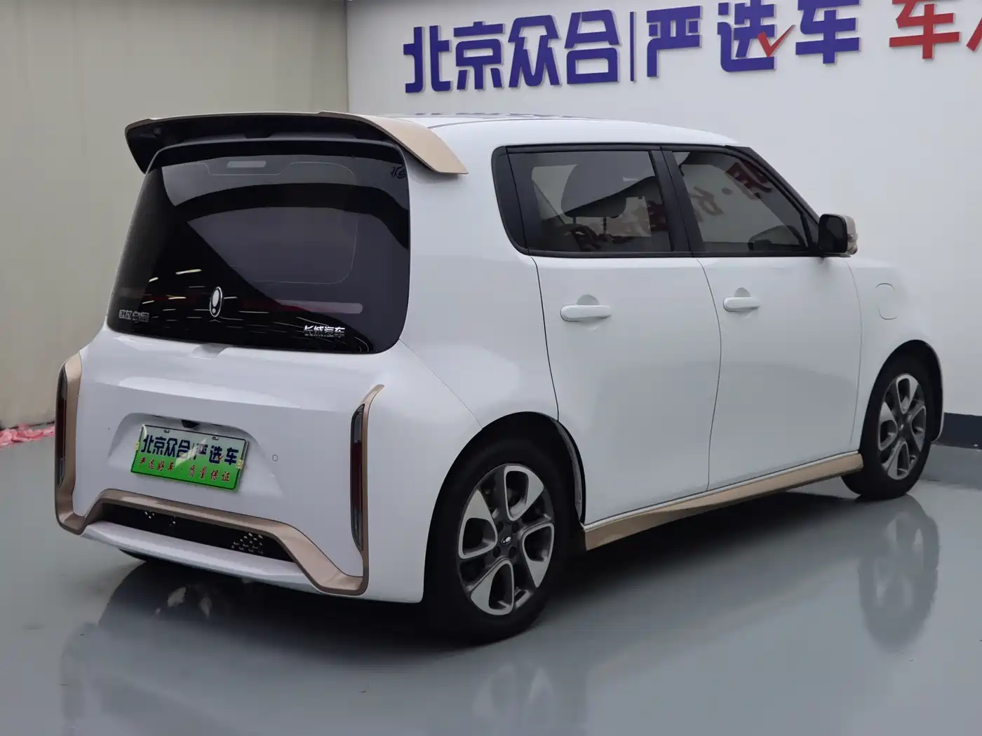 Ora White Cat 2022 2022 Wildcat Edition 401km Flagship (NMC)