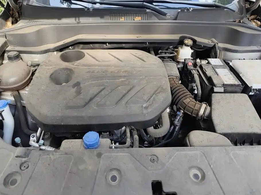 Changan Oshan Z6 2024 2023 Blue Whale 1.5T DCT Smart Leader