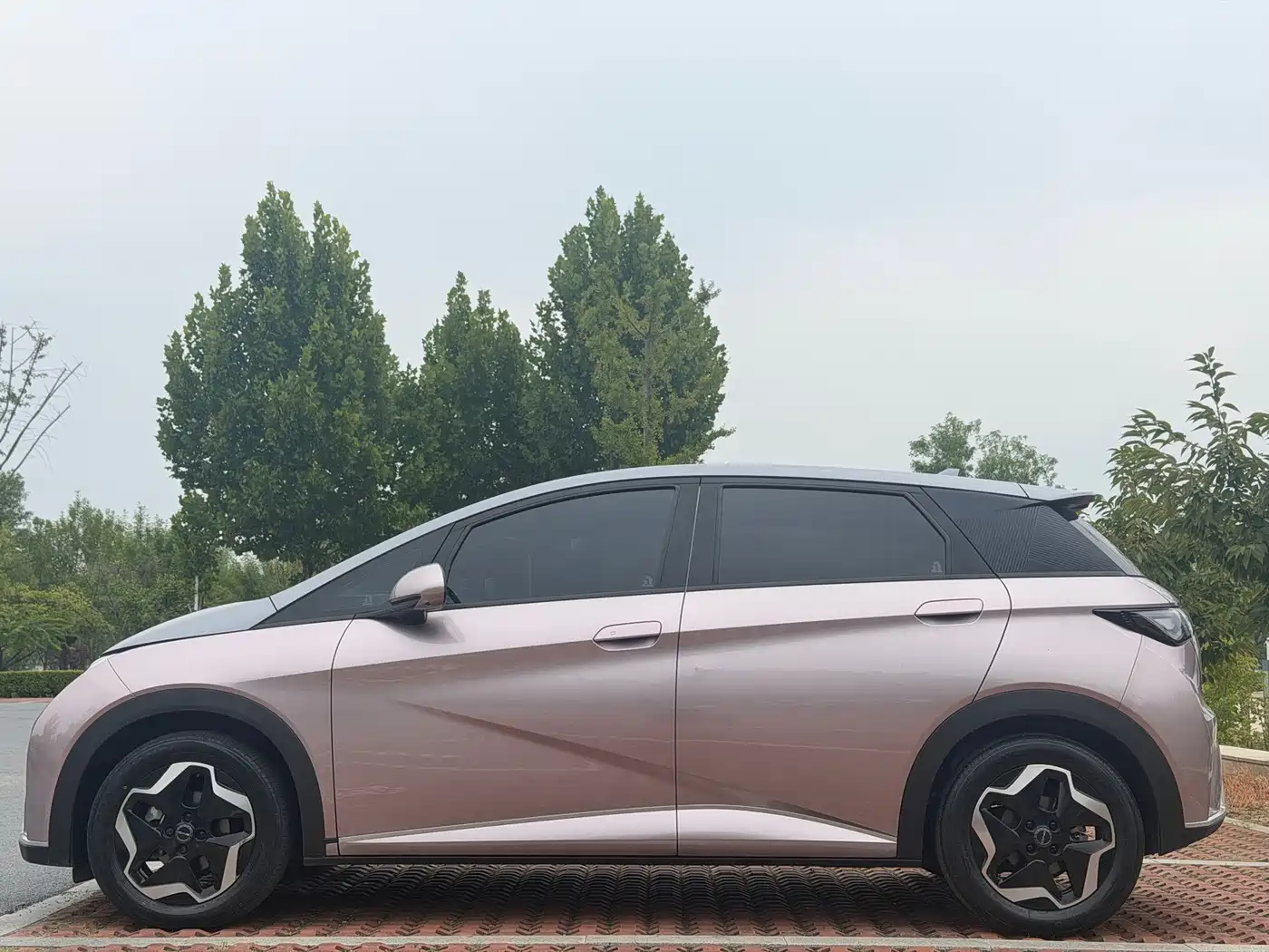 BYD Dolphin 2021 2021 Model 405km Fashion Edition