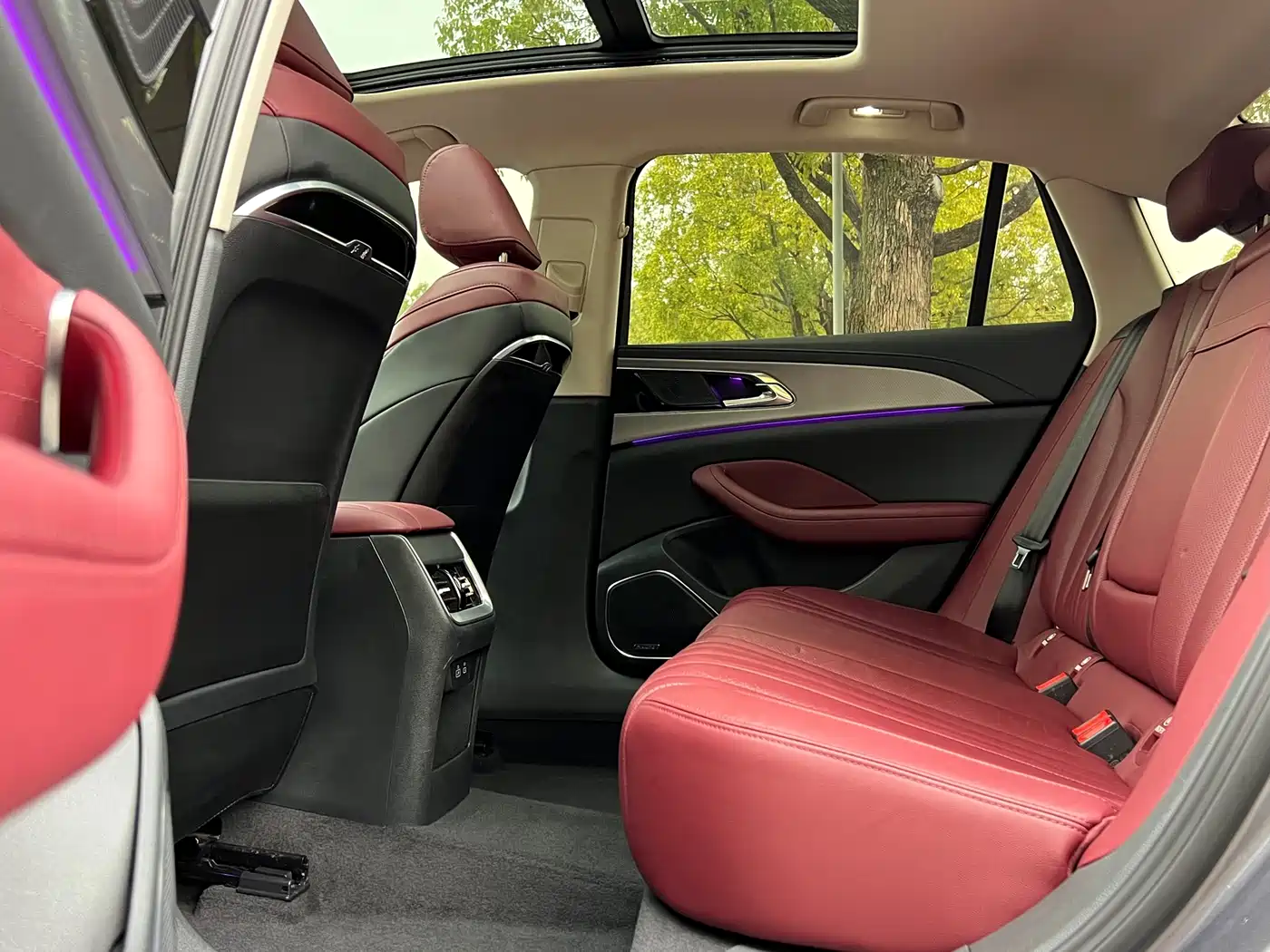 Hongqi H5 2023 2.0T Auto Smart Connect Flag Comfort фото 10