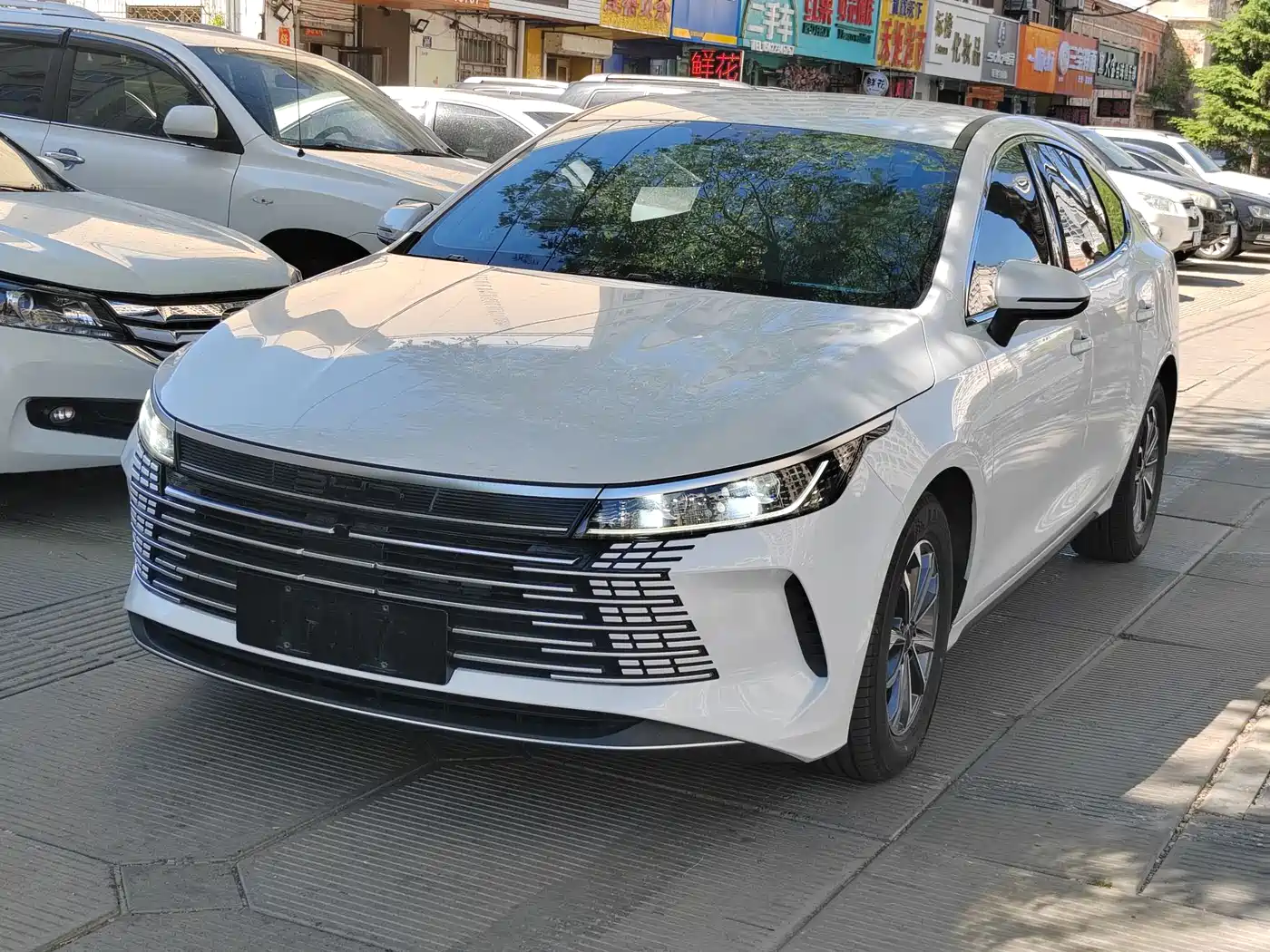 BYD Destroyer 05 2024 Glory Edition DM-i 55KM Luxury фото 2