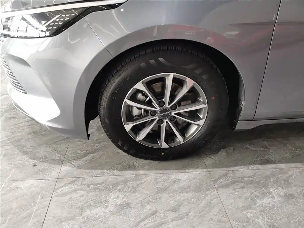 BYD Destroyer 05 2023 Champion Edition DM-i 55KM Luxury фото 23