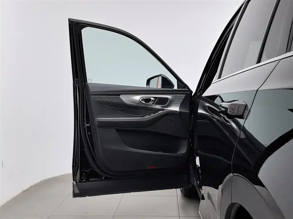 GAC Trumpchi Trumpchi GS8 2025 Pilot Series 2.0TGDI 2WD Luxury Edition 5-seater фото 8