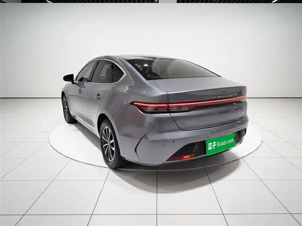 BYD Destroyer 05 2023 Champion Edition DM-i 55KM Luxury фото 5