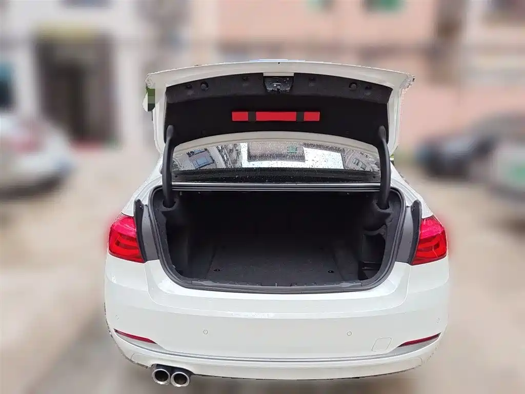 BMW 3 Series 2019 320Li Fashion Type фото 10