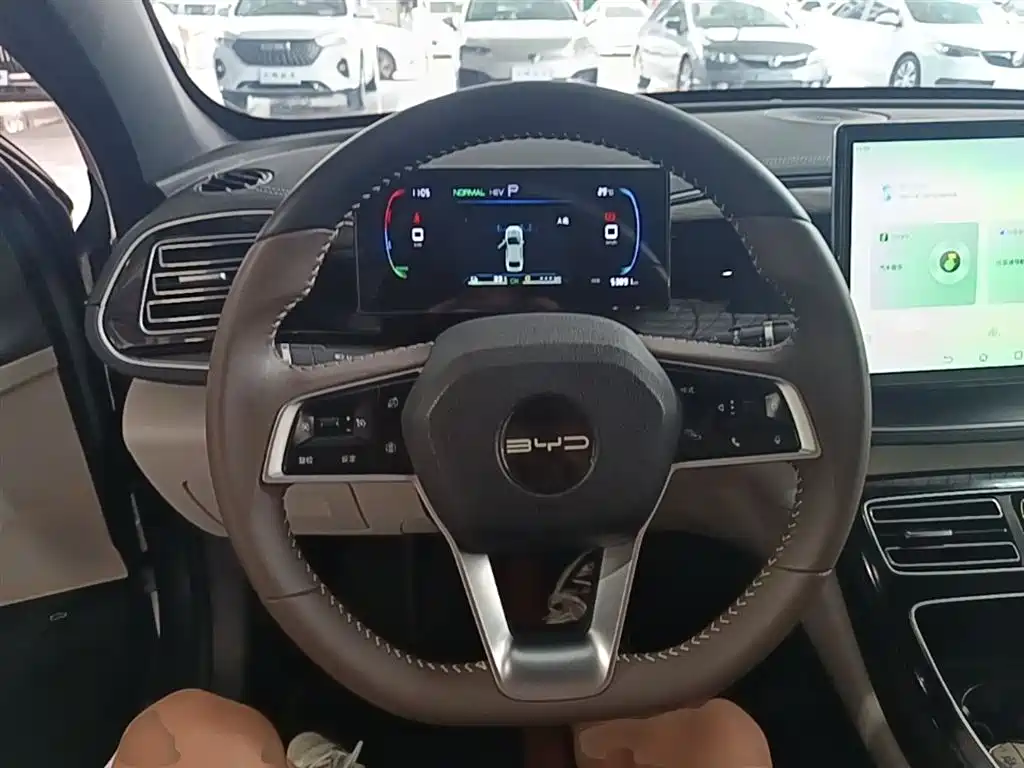 BYD Qin PLUS 2021 DM-i 120KM Flagship фото 11